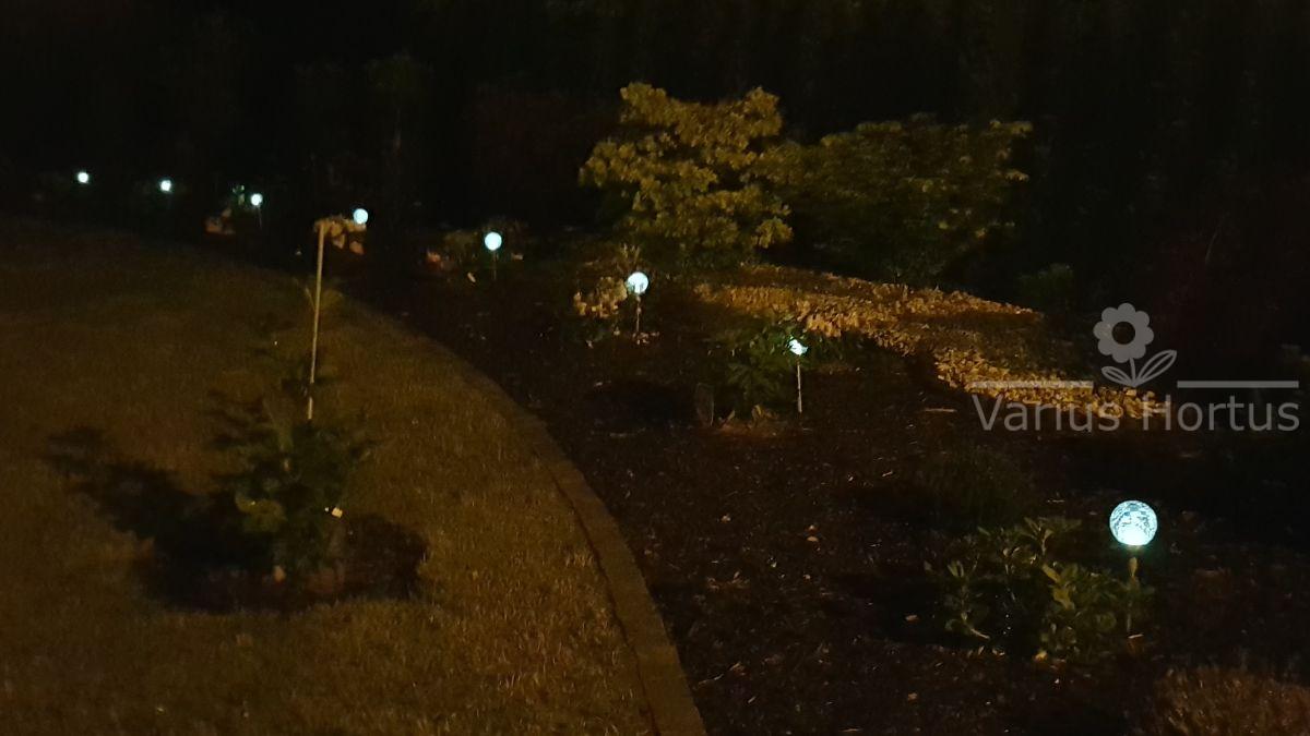 Ogród nocą